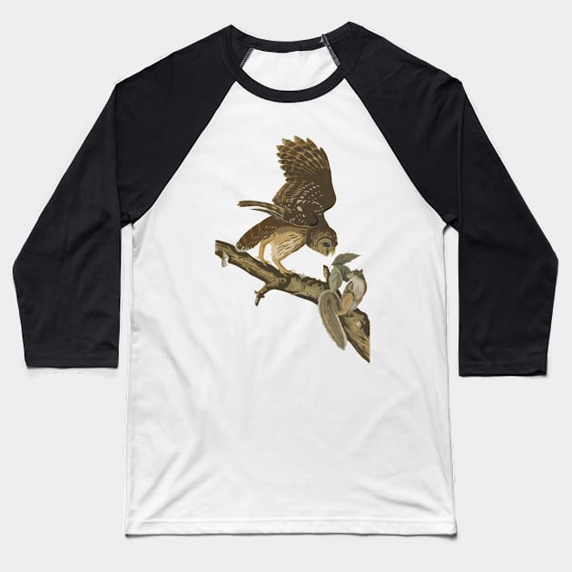 Owl on Branch Baseball T-Shirt by ArianJacobs